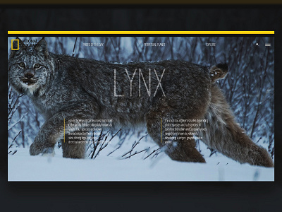 National Geographic main web page design