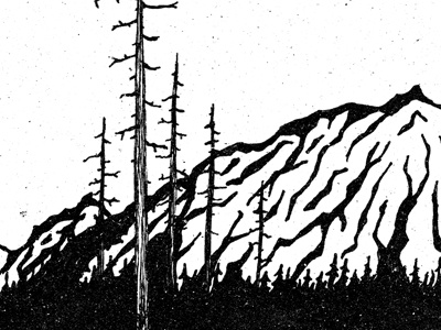 North adventure illustration mountain north pine rustic tree