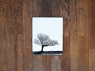 Mountain birch birch illustration moleskine mountain sketch tree wood