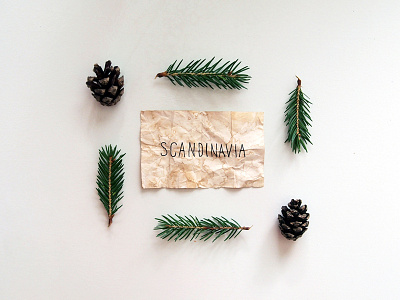 Scandinavia handlettering lettering minimal pine scandinavia type typography vintage