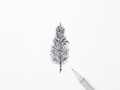 Birch birch drawing illustration ink minimal pen sketch tree