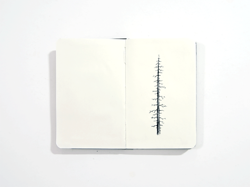 Chopped adventure animation drawing gif illustration ink minimal moleskine pine sketch