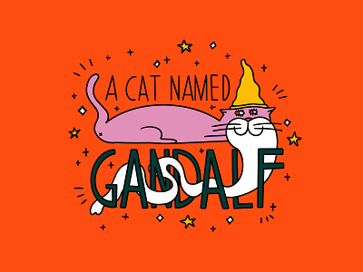 a cat named Gandalf cat character character design colorful cute design digital illustration digitalart gandalf illustration