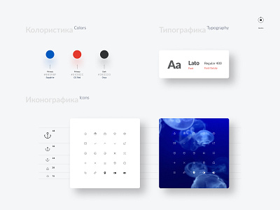 Guideline & Design system