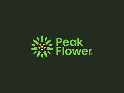 Peak Flower acrylic amazonjay art brand branding design flower logo logo design peak