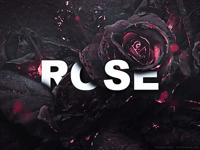 ROSE logotype roses typography