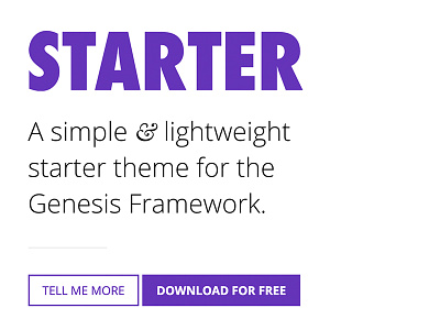Starter Theme - Teaser blog freebie genesis framework theme typography ui ux web design wordpress