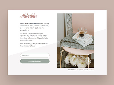 Alderbin signup page. design landing page splash page ui ux website
