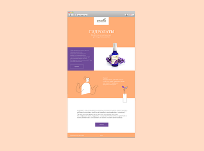 Etnoya e-mail design design e mail design e mail marketing graphic design marketing