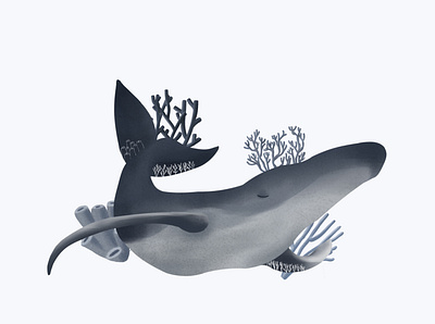 coral whale illustration