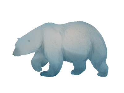 bear 1 animal autumn illustration