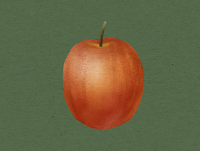 Simple Apple Illustration food fruit green illustration