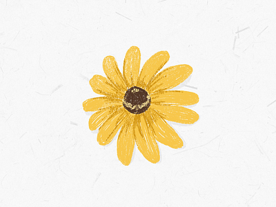 black eyed susan autumn design flower flower illustration flowers illustration illustrator orange wildflower yellow