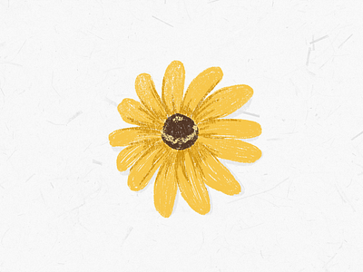 black eyed susan