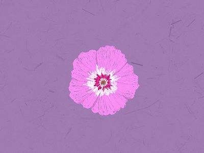 drummond s phlox flower flower illustration flowers handsketch icon illustration illustrator pastel photoshop purple