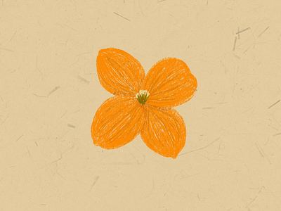 Siberian Wallflower design flower flower illustration flowers illustration illustrator orange simple wild wildflower