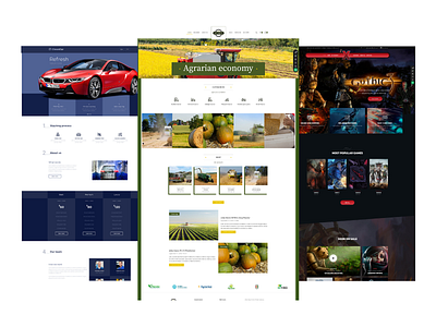 I will customize themeforest xstore wordpress theme