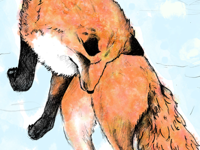 jumping in the snow colors drawing fox fun jumping snow