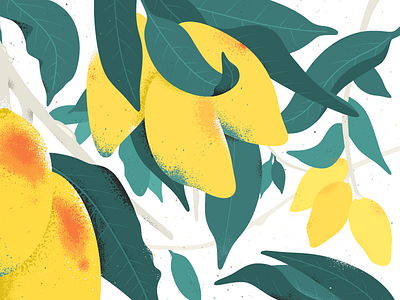 Mango colourful fruits illustration leaves mango mishax plant summer texture tree tropical vector