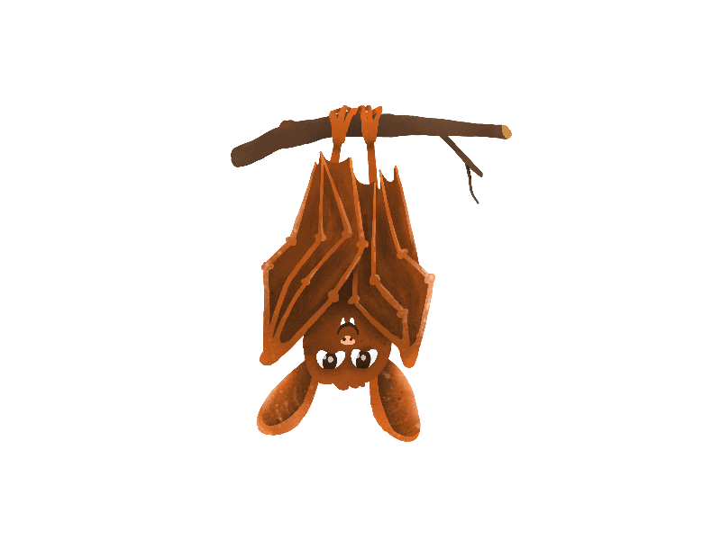Witch bat mishax