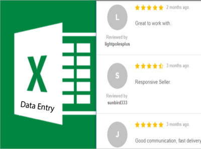 Excel Data Entry dataentry excel data entry google sheet data entry spreadsheet data entry