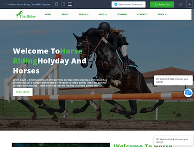 TheRider- Horses Riding Club HTML Template branding design html illustration logo responsive template theme theme design ui ux website