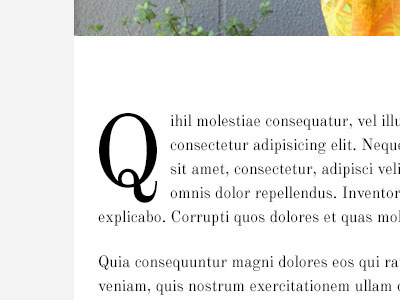 Q article grid heading minimal typography