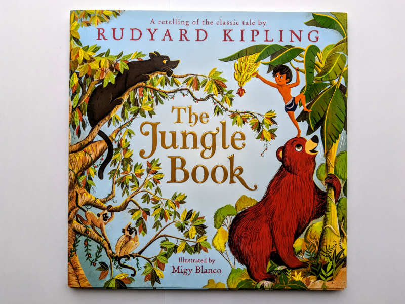 The Jungle book by Migy on Dribbble