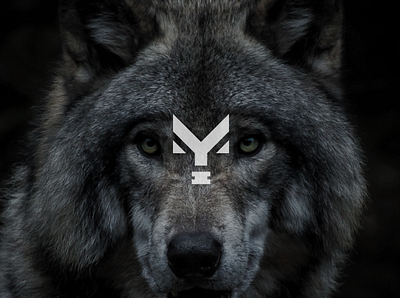 Wolf Logo Design branding design designer flat graphic design head hire logo modern monogram profesional simple wolf wolves