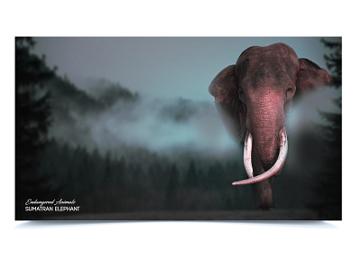Digital Awareness Art - 4 design digitalart earth elephants endangered animals photoshop planet poster responsible save social