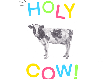 Holy Cow! art artist design drawing illustration illustrator pencil photoshop