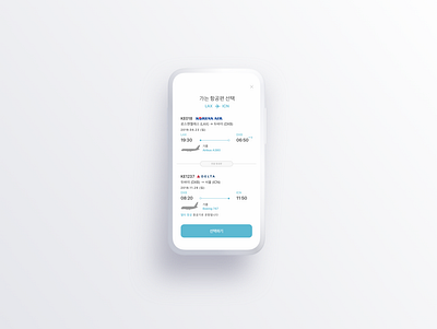 Flight Details airline airlines airplane app delta design details flight korean korean air koreanair product ui userexperience userinterface 대한항공 델타 서울 인천