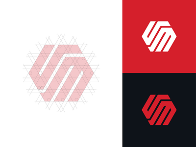 VM Logo design