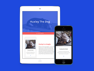 Huxley The Dog beagle dog e mail huxley ipad iphone website