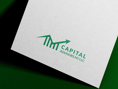 Capital Advisors NY LLC Logo brand branding business capital company corporate design firm graphic design graphics icon identity illustrator llc logo logodesign minimal motion graphics ny text