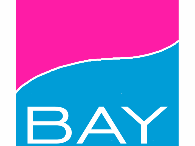 Pinkbay logo by D6 NL on Dribbble