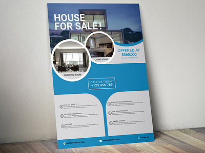 Corporate Business Flyer and Brochure Design