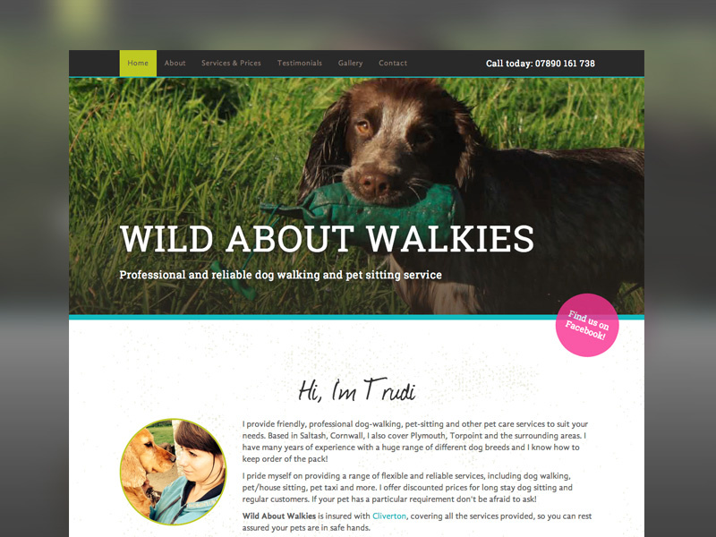 dog walking websites