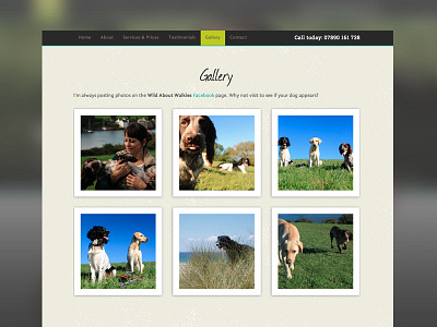 'Wild About Walkies' – gallery bootstrap graphic design ui web design