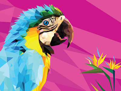 Parrot design вектор векторная графика иллюстрация персонаж полигональная иллюстрация попугай птица