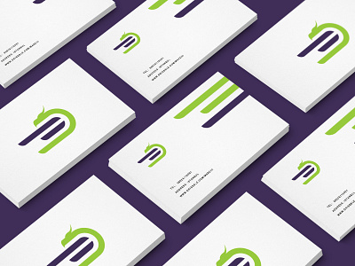 Dragon blue branding design dragon green icon illustration investigation logo purple ui vector visit card