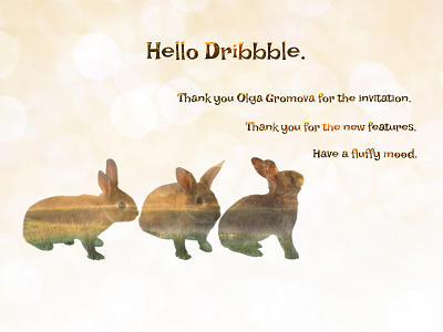 Hello, Dribbble) design doubleexposure features figma first post firstshot fluffy mood hello dribble hello world rabbits thanks web