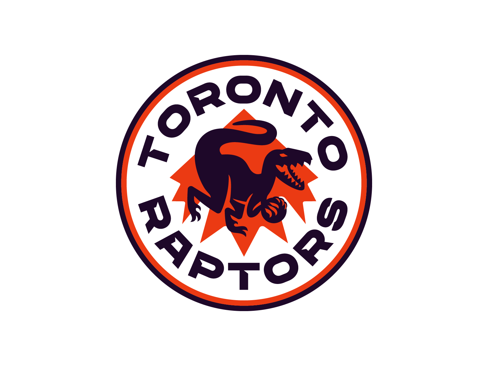 Toronto Raptors Logo T-Shirt - Diana T-shirt