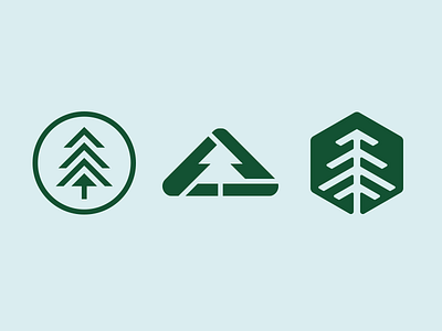 Evergreen Concepts