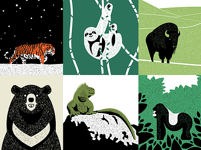 100 Day Project 13-18 animals daily endangered illustration the100dayproject