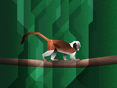 100 Day Project - Day 34: Cottontop Tamarin animals daily endangered illustration monkey tamarin the100dayproject