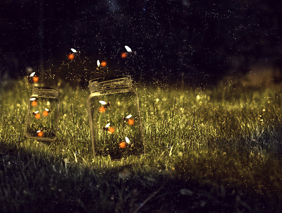 Glowing Fireflies Photo Manipulation design fire flies grass jar manipulation night photo manipulation