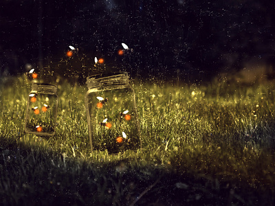 Glowing Fireflies Photo Manipulation
