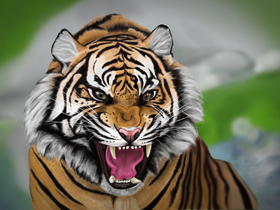 Tiger - Photoshop drawing illustration tiger