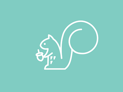 Squirrel animal creative design illustration lineart squirrel